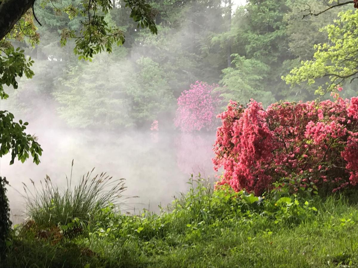 Saint-Priest-Taurion Domaine De Bort Bed & Breakfast エクステリア 写真