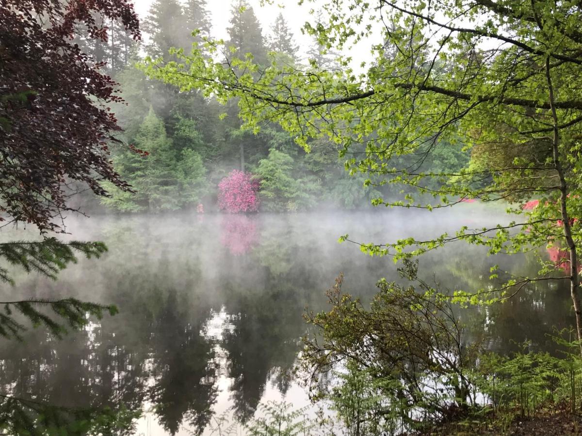 Saint-Priest-Taurion Domaine De Bort Bed & Breakfast エクステリア 写真