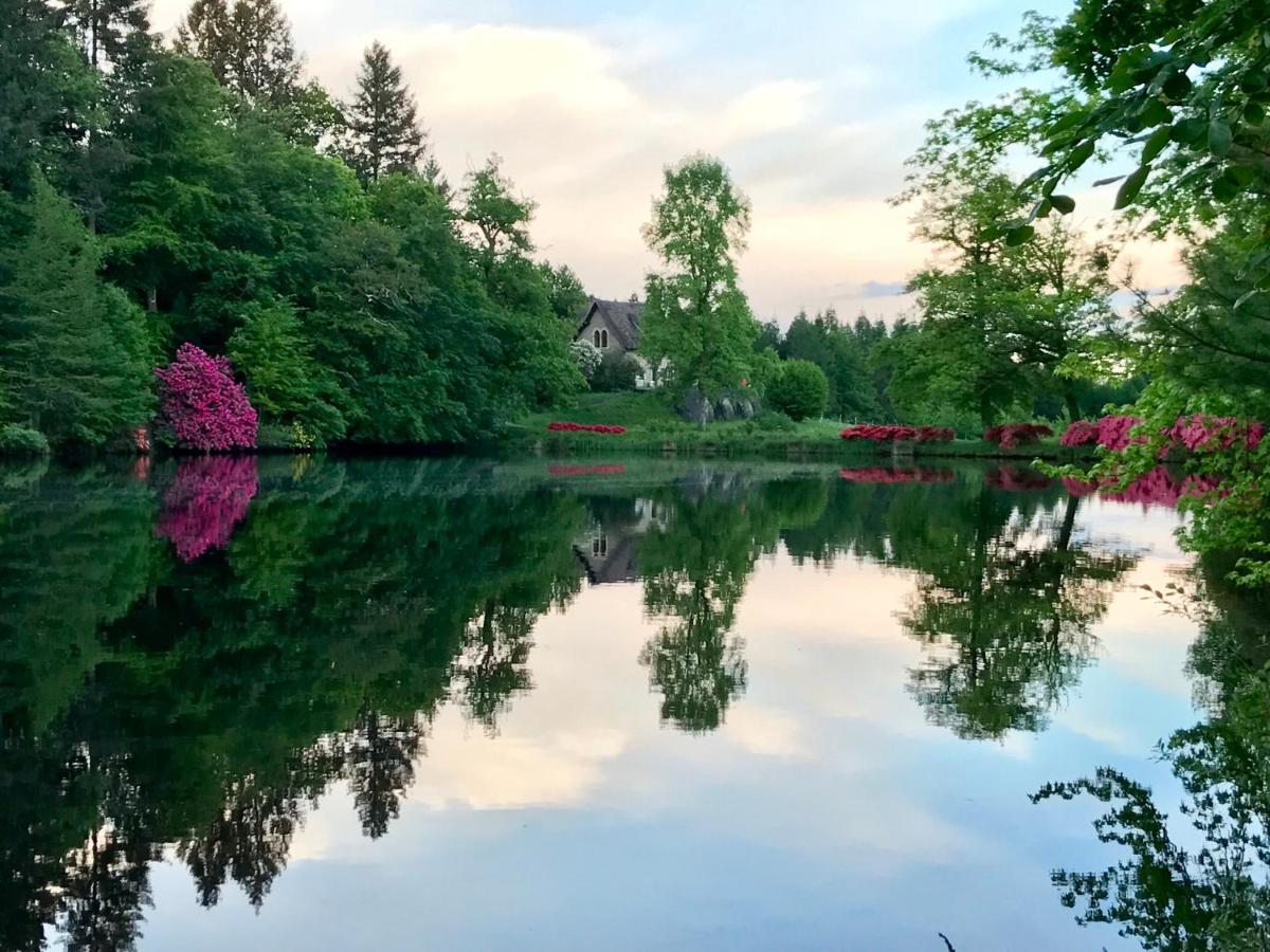 Saint-Priest-Taurion Domaine De Bort Bed & Breakfast エクステリア 写真