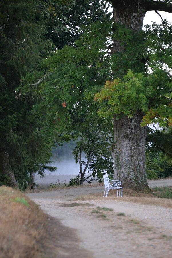 Saint-Priest-Taurion Domaine De Bort Bed & Breakfast エクステリア 写真