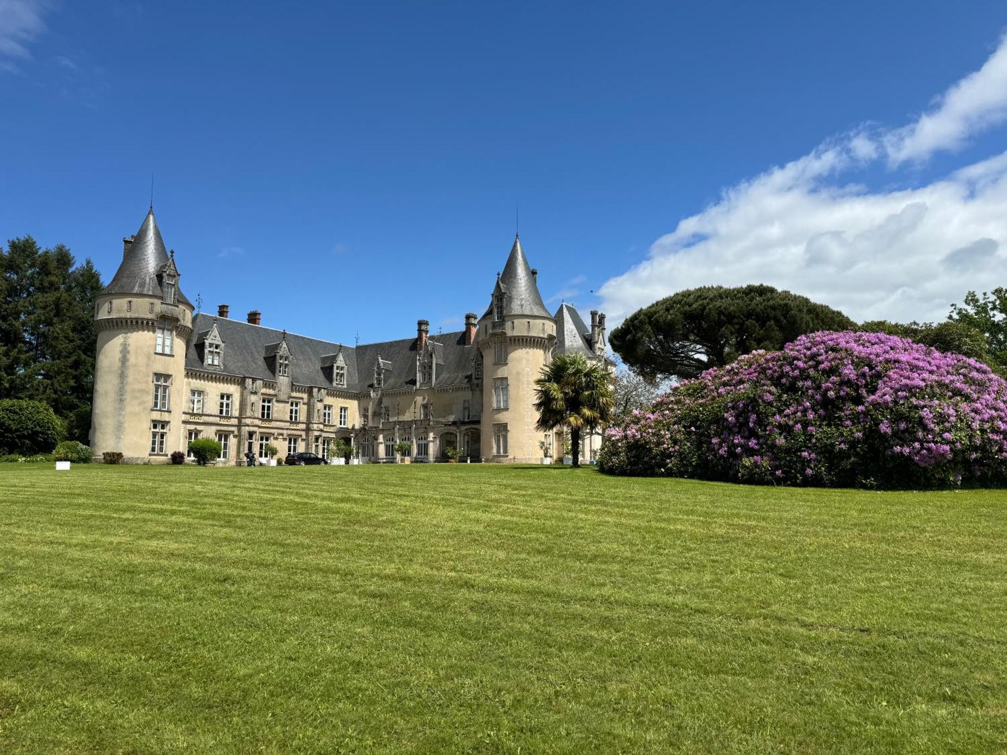 Saint-Priest-Taurion Domaine De Bort Bed & Breakfast エクステリア 写真